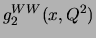 $g_2^{WW}(x,Q^2)$