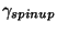 $\gamma_{spin up}$