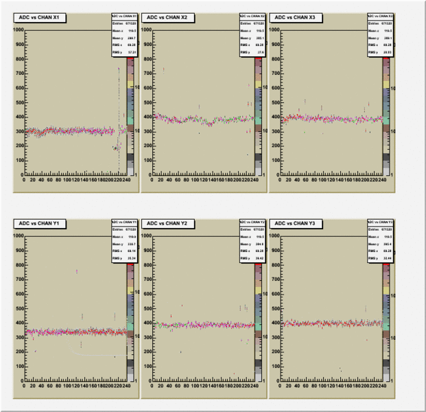 File:Ped adc 572.gif