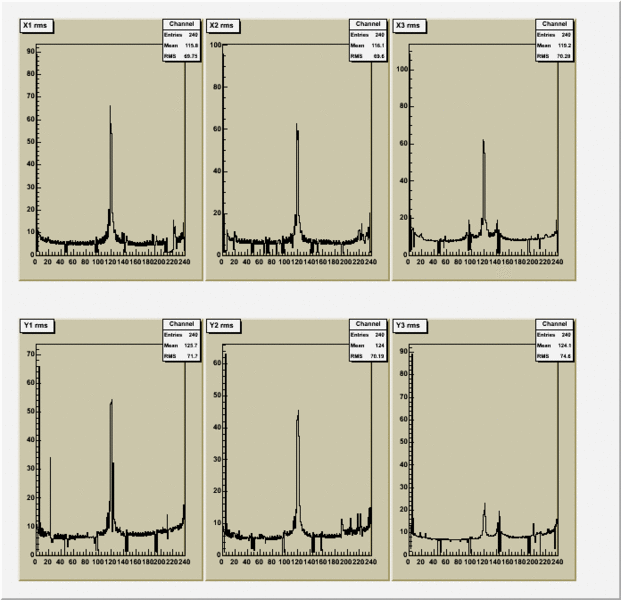 File:Ped rms 571.gif