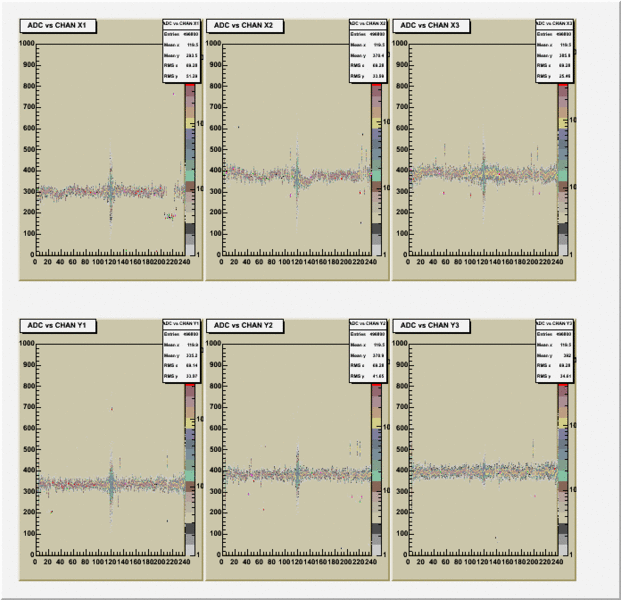 File:Ped adc 571.gif