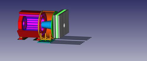 Muon back.jpg