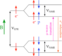 DNP-diag1.png
