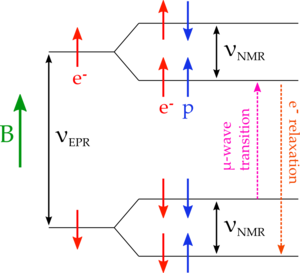 DNP-diag1.png