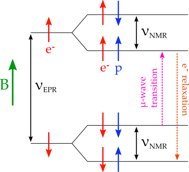 File:DNP-diag1.png